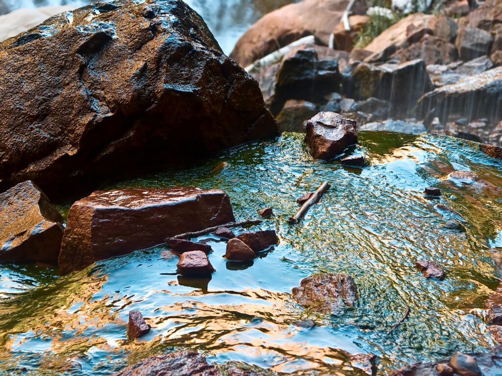 Emerald Pools Trail, Colorful Close-up of Lower Pool, Zion National Park