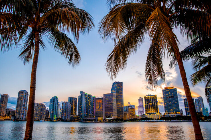 op 10 Things to See and Do In Miami, FL