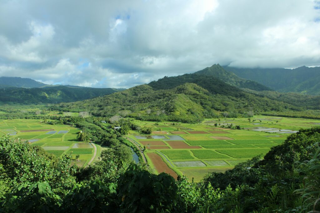 Hanalei - Kauai and Eco-Tourism
