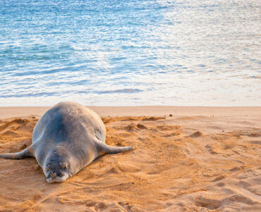 Poipu Beach on Kauai's south shore