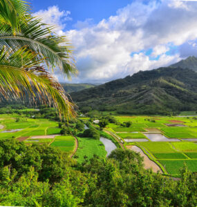 Good Places to Eat in Kauai
