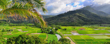 Good Places to Eat in Kauai