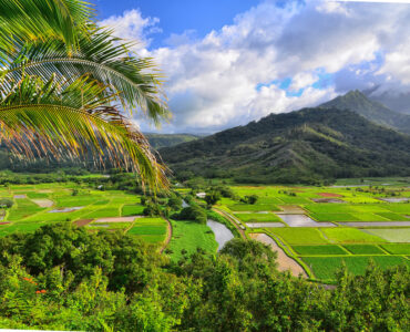 Good Places to Eat in Kauai