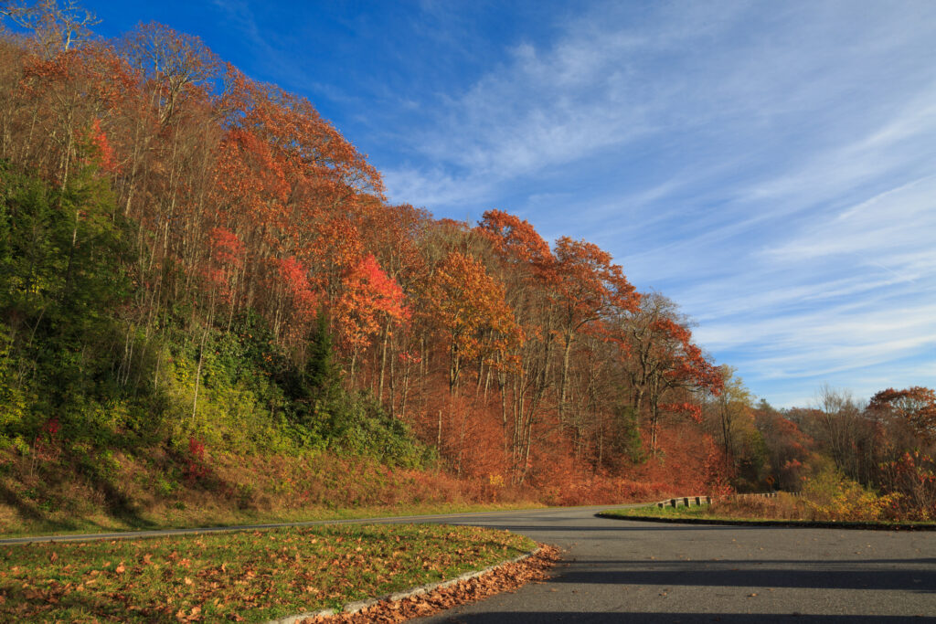 Fall Colors Tour - Great Smoky Mountains National Park