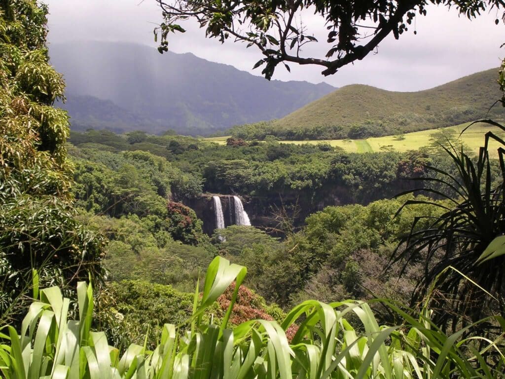 Wailua Falls: A Classic Waterfall Scene Kauai Movie Locations