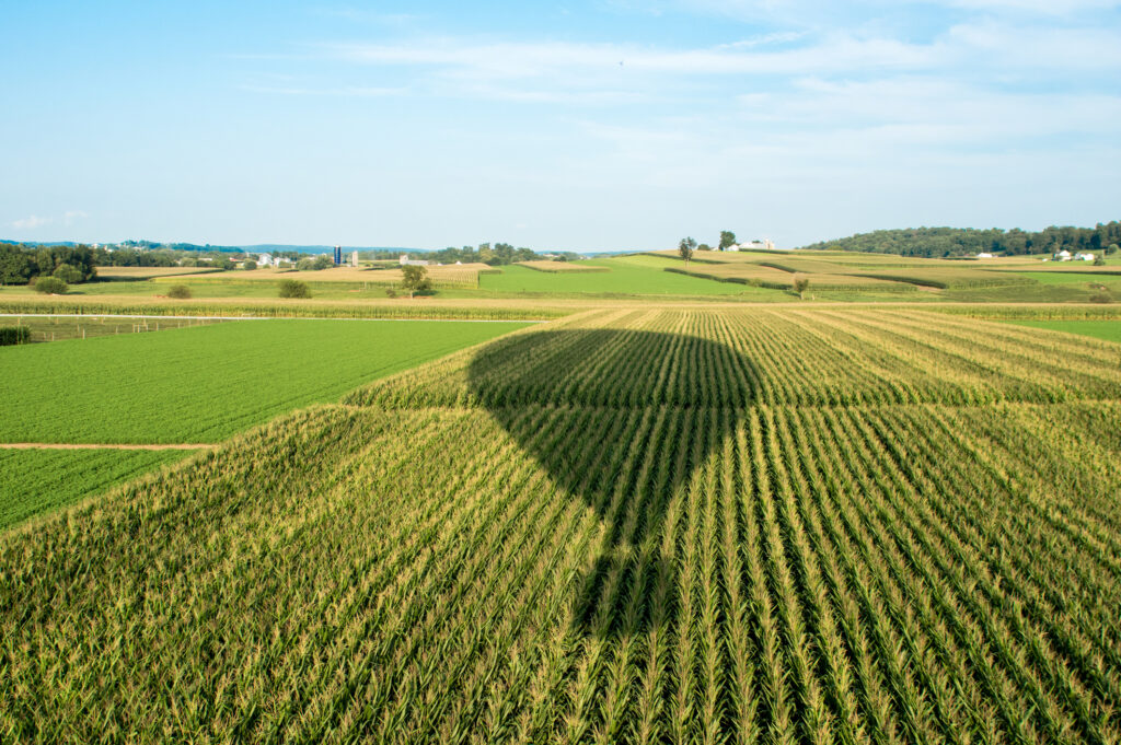 Hot Air Balloon - Amish Country