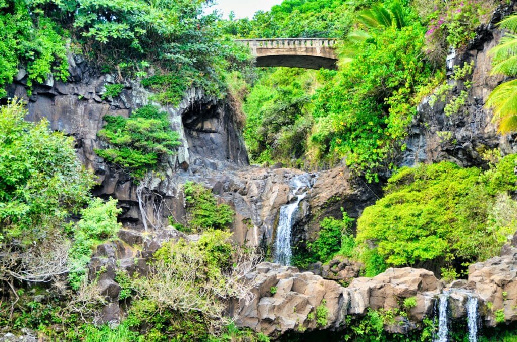 Maui - Road To Hana