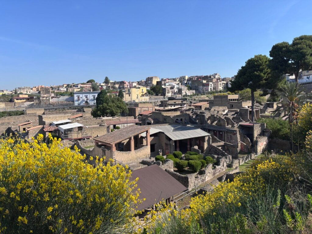 Herculaneum - Amalfi Coast