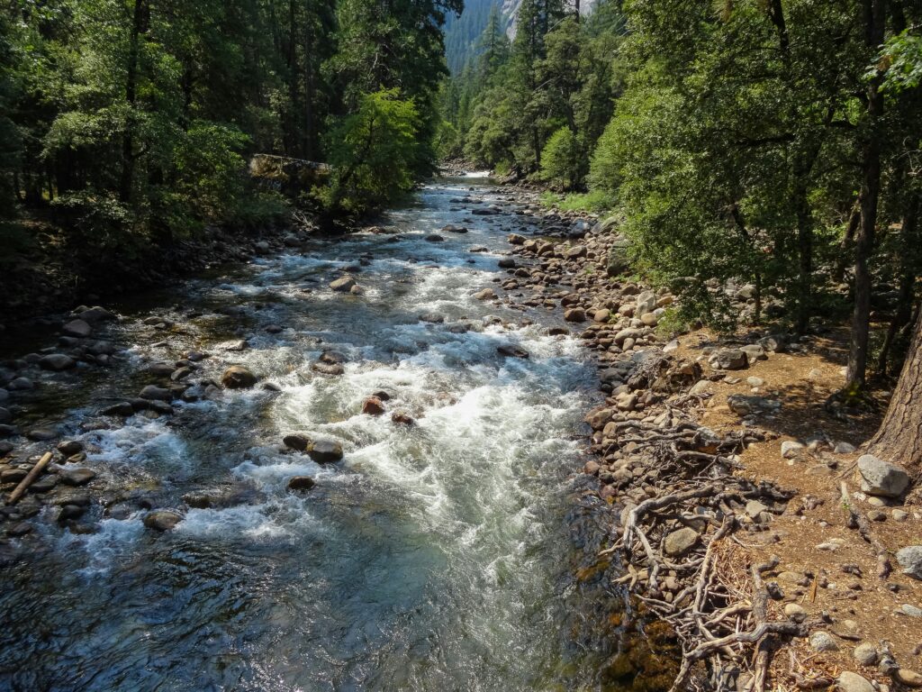 National Parks - Sequoia