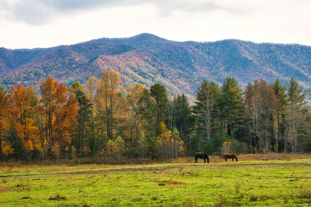 National Parks in Fall - Great Smoky Mountains National Park